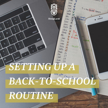 Setting Up A Back-To-School Routine (JPG)