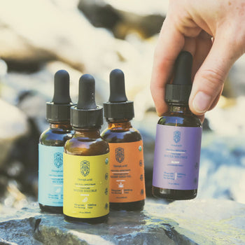 CBD Day Tinctures (JPG)