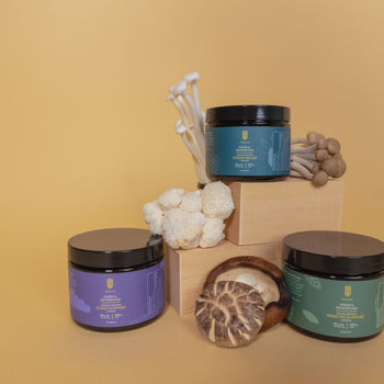 Sleep, Immune, Stress Stacks Studio (JPG,PNG)