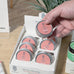 Display Box | 8 Count - Full-Spectrum CBD Body Balm - Cedarwood