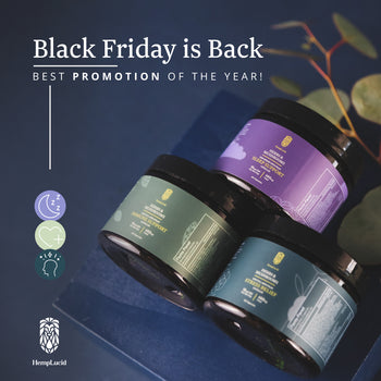 Black Friday is Back - Stack (JPG)