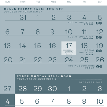 Retail BFCM Calendar (PNG)