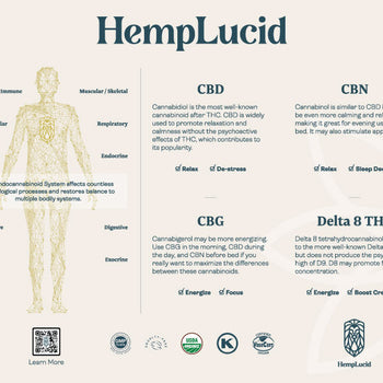 HempLucid Education Table Tent (PDF)